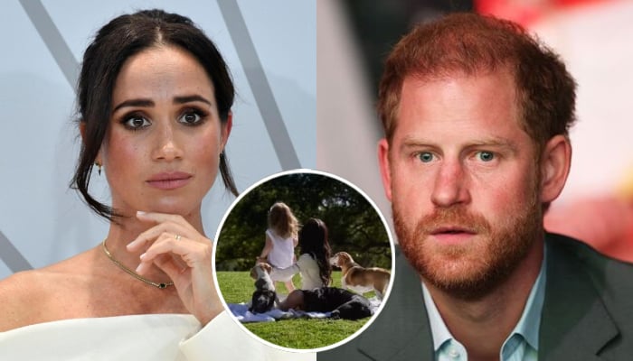 Meghan Markle excludes Prince Harry from Lilibets 4th birthday tribute