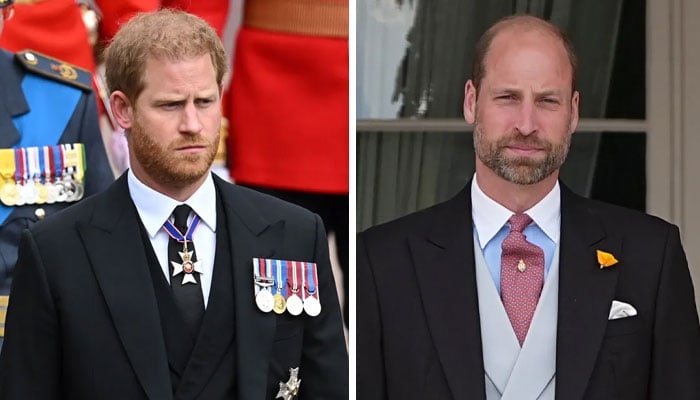 Prince William, Harry set to take on emotional mission to honour Diana