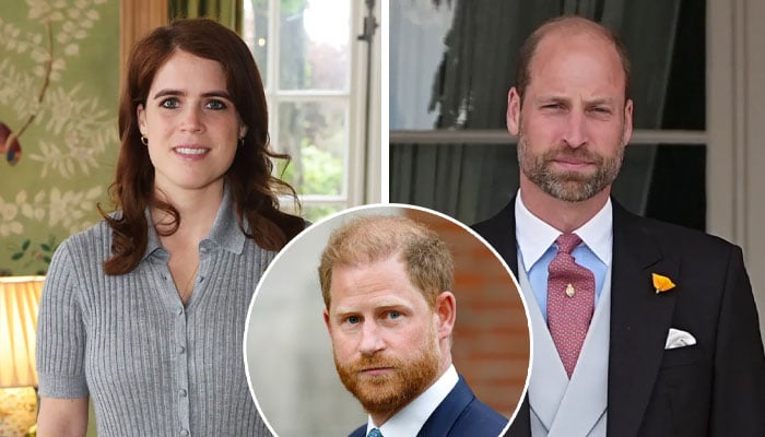 Princess Eugenie joins Prince Williams team as she shifting focus from alleged Prince Harry rift