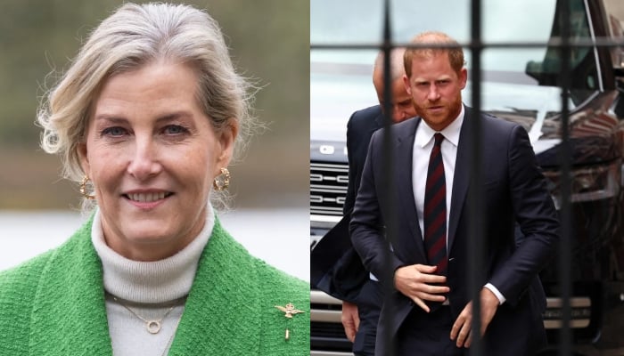 Duchess Sophie receives special honour after Palace doors shut on Harry
