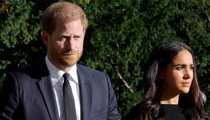 Prince Harry, Meghan panicking about next move amid ‘lose-lose’ ordeal