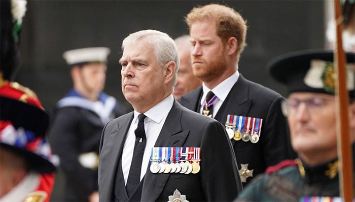 Prince Harry and Prince Andrew snubbed in Armed Forces Day Tribute