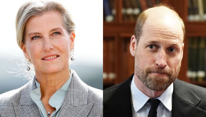 Royal family issues update on Duchess Sophie key task amid Williams big plans