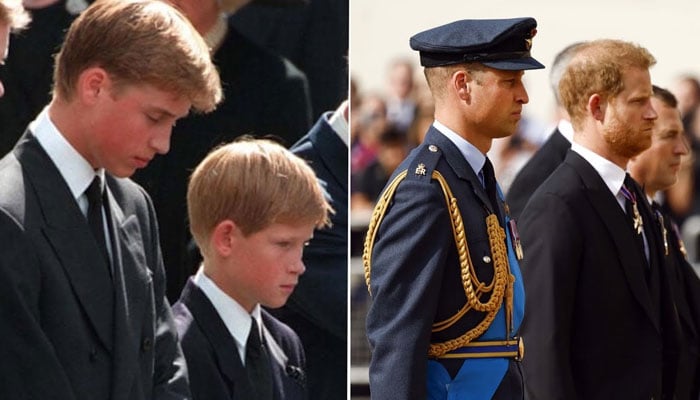 Will Prince Harry join William on Princess Dianas day?