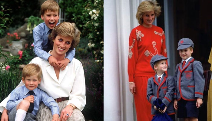 Will Prince Harry join William on Princess Dianas day?