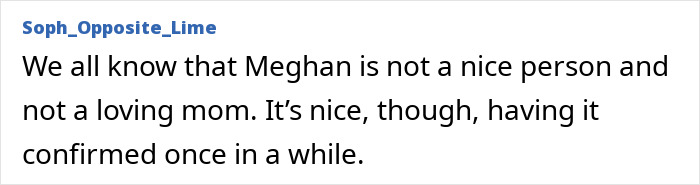 Comment criticizing Meghan Markle's parenting, reflecting accusations of treating her kids like accessories. Comment criticizing Meghan Markle's parenting, reflecting accusations of treating her kids like accessories.
