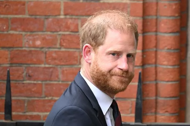 Harry and Meghan were introduced through a mutual friend and their relationship started online 