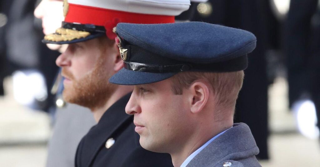 Prince William Takes On New Role Once Intended for Prince Harry