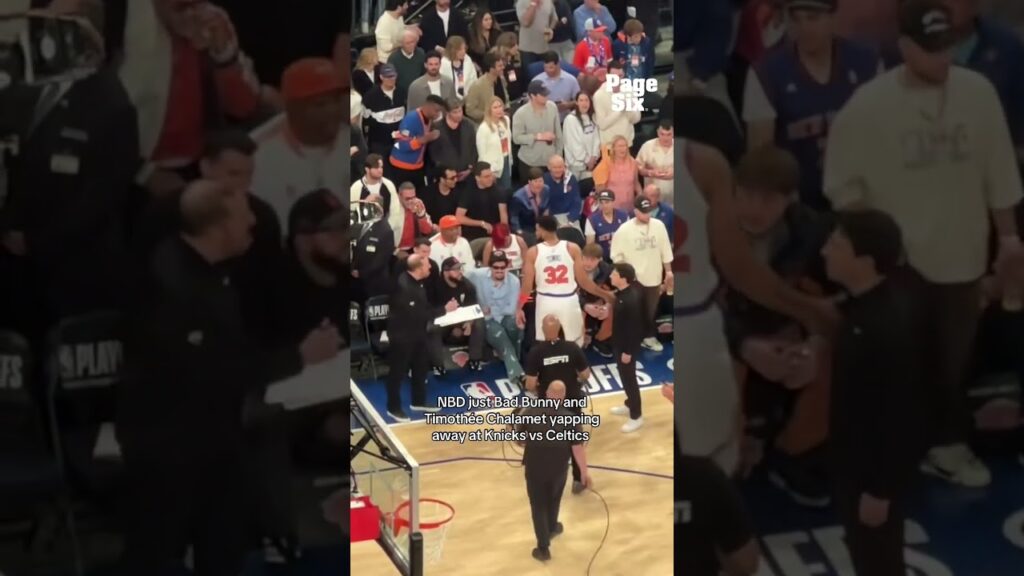 Bad Bunny and Timothée Chalamet? The duo we never knew we needed until now 🏀 #shorts Bad Bunny and Timothée Chalamet? The duo we never knew we needed until now 🏀 #shorts
