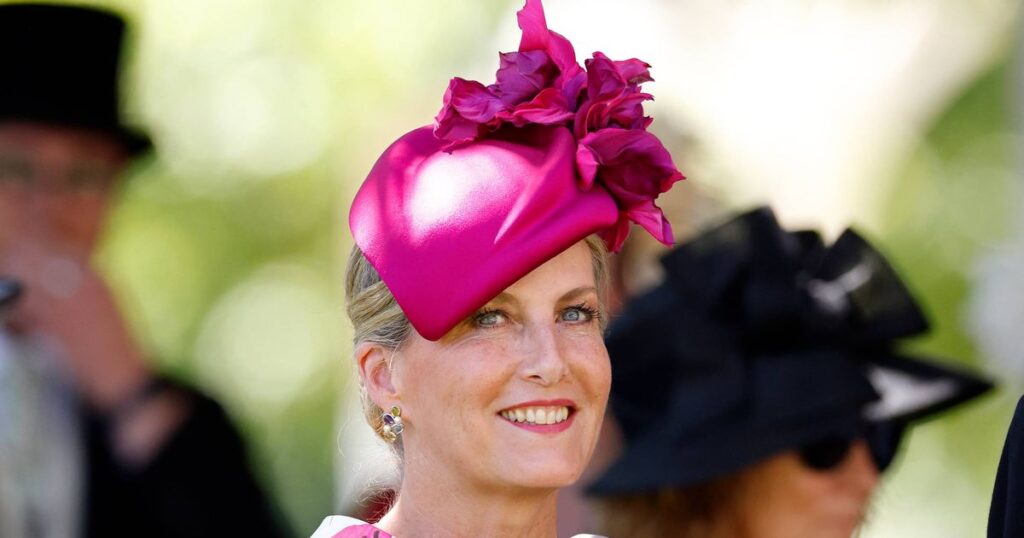Duchess Sophie’s two-word nickname emerges as she’s tipped to ‘replace’ Harry and Meghan trust project logo