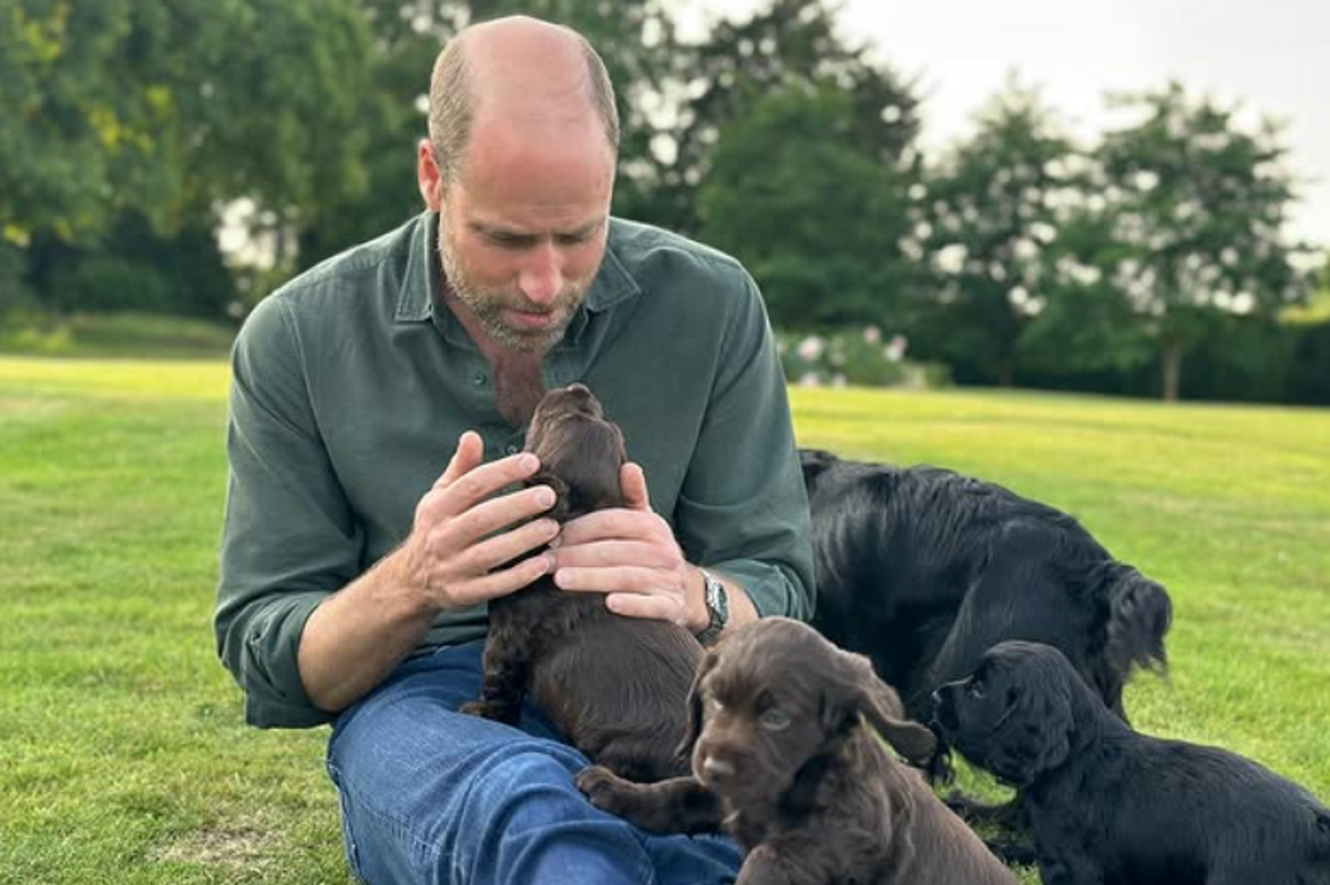 Prince William