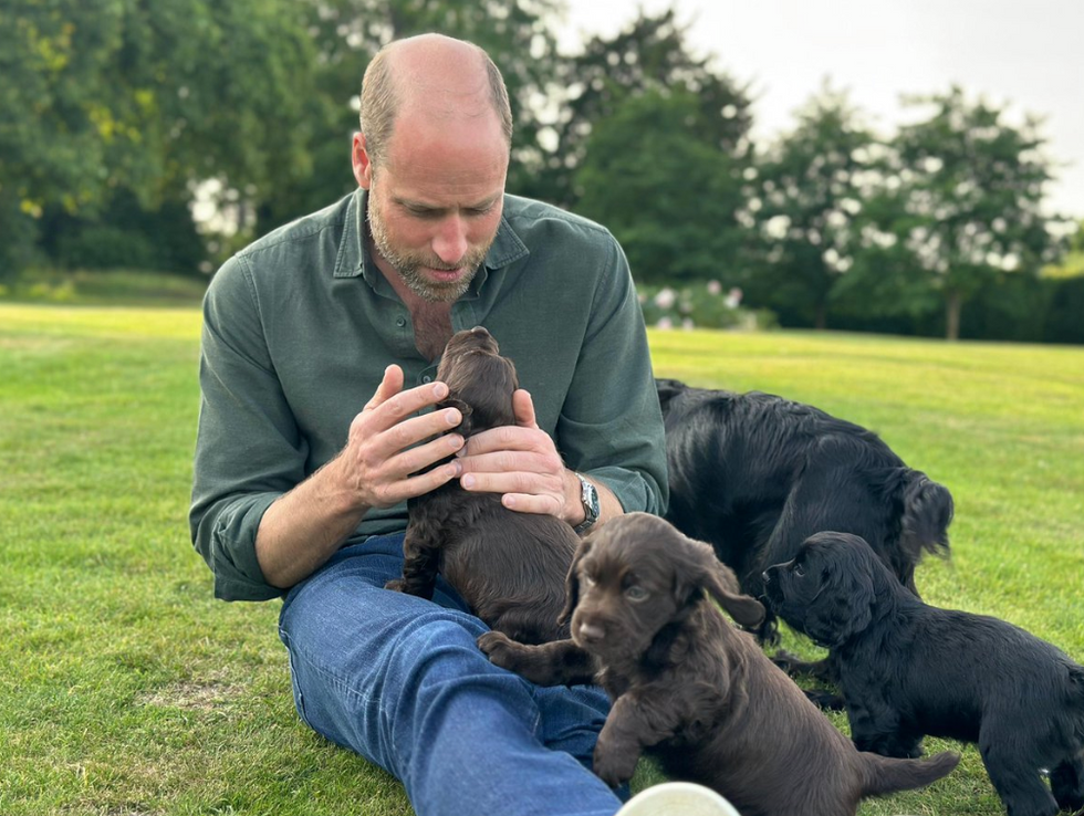 Prince William