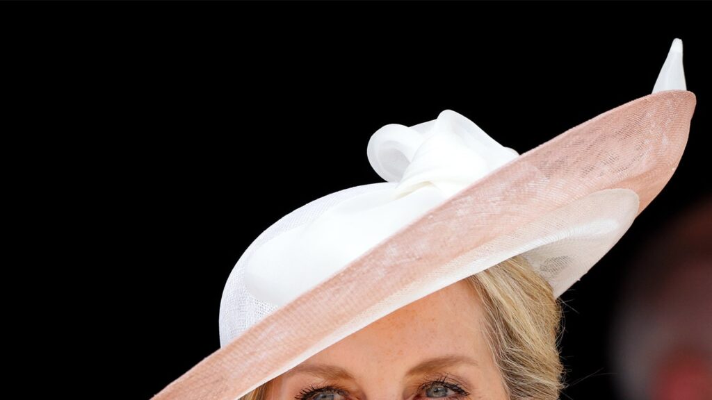 ‘Fantastic’ Sophie, Duchess of Edinburgh, will be championed by Prince William with a more prominent royal role when he takes to the throne ‘Fantastic’ Sophie, Duchess of Edinburgh, will be championed by Prince William with a more prominent royal role when he takes to the throne