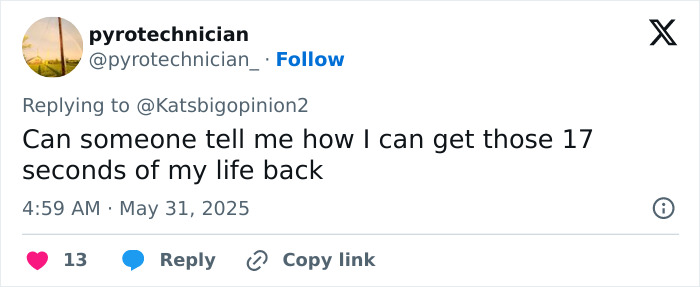 Tweet by pyrotechnician questioning how to get 17 seconds of life back, related to Meghan Markle hack controversy. Tweet by pyrotechnician questioning how to get 17 seconds of life back, related to Meghan Markle hack controversy.