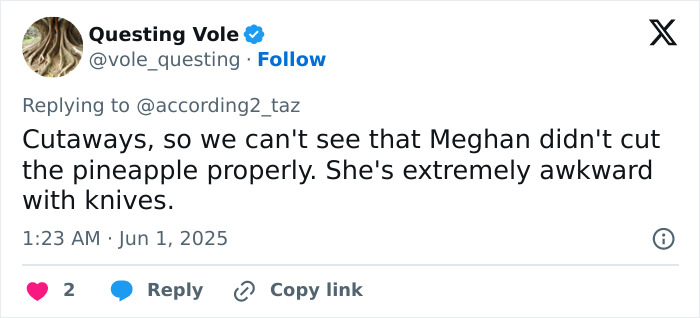 Tweet screenshot showing criticism of Meghan Markle’s kitchen hack, highlighting her awkwardness with knives and pineapple cutting. Tweet screenshot showing criticism of Meghan Markle’s kitchen hack, highlighting her awkwardness with knives and pineapple cutting.