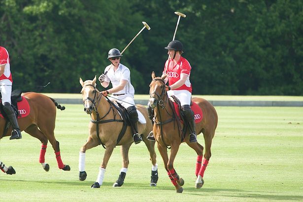 Polo players