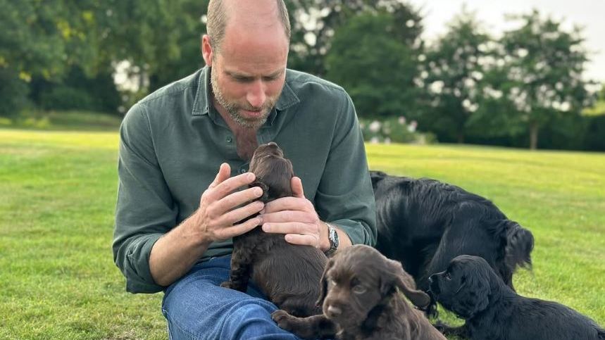 Peta calls Prince and Princess of Wales ‘out of touch’ over puppies - The Times
