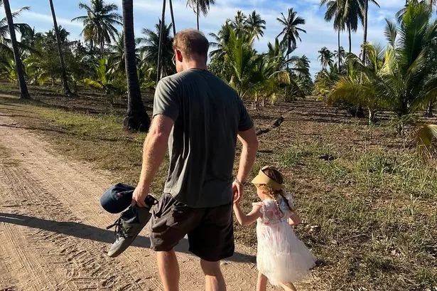 A picture of Prince Harry and Princess Lilibet