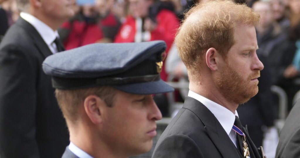 Prince William and Prince Harry's relationship divided with brutal statement - Celebrity News - Entertainment