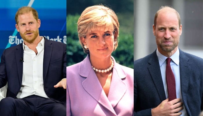 Did Prince William, Harry privately compete for Princess Diana's special possession?