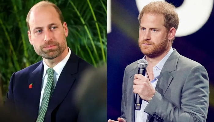 Prince William plans to ‘exclude’ Harry from royal future despite apology Prince William plans to 'exclude' Harry from royal future despite apology