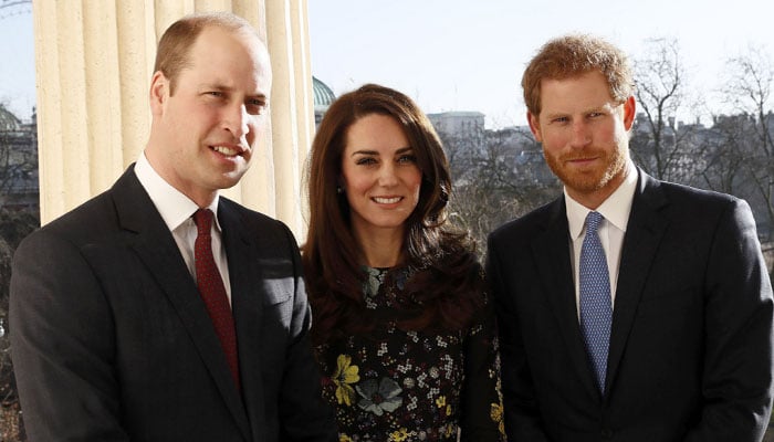 Kate Middleton is doing all she can to reconcile Prince William and Prince Harry before dire circumstances