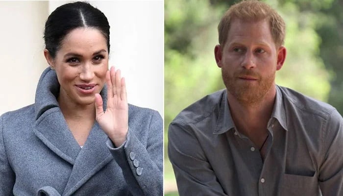 Meghan Markle’s captured Prince Harry into her version of a dream life?