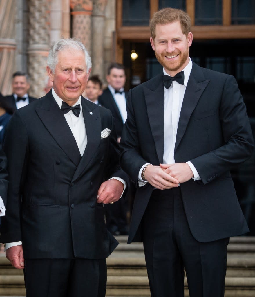 King Charles and Prince Harry at the “Our Planet” premiere in London in April 2019. Samir Hussein/WireImage