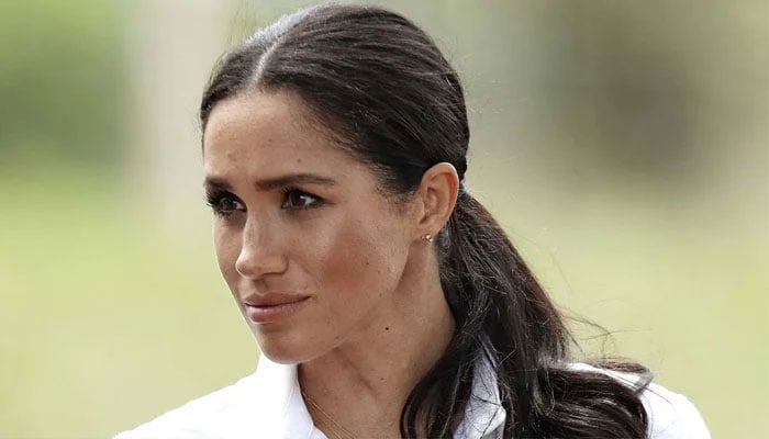 Meghan Markle handed advice after throwing stones at ‘every dog that barks’