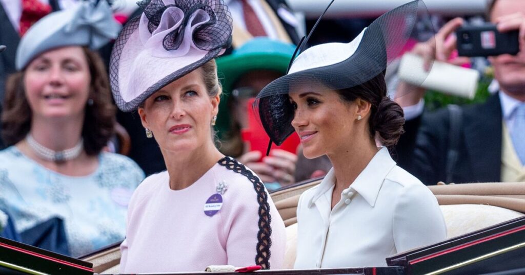 Duchess Sophie's surprise seven-word statement about Prince Harry and Meghan Markle | Royal | News