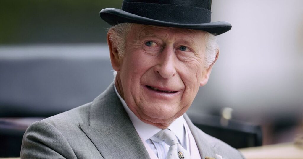 King Charles to star in new Netflix documentary after Prince Harry's explosive tell-all | TV & Radio | Showbiz & TV