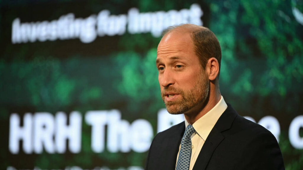 Prince William urges ‘courage’ ahead of world leaders meeting at Cop30 Prince William urges ‘courage’ ahead of world leaders meeting at Cop30