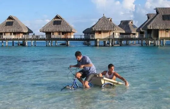 Tropical Fun
