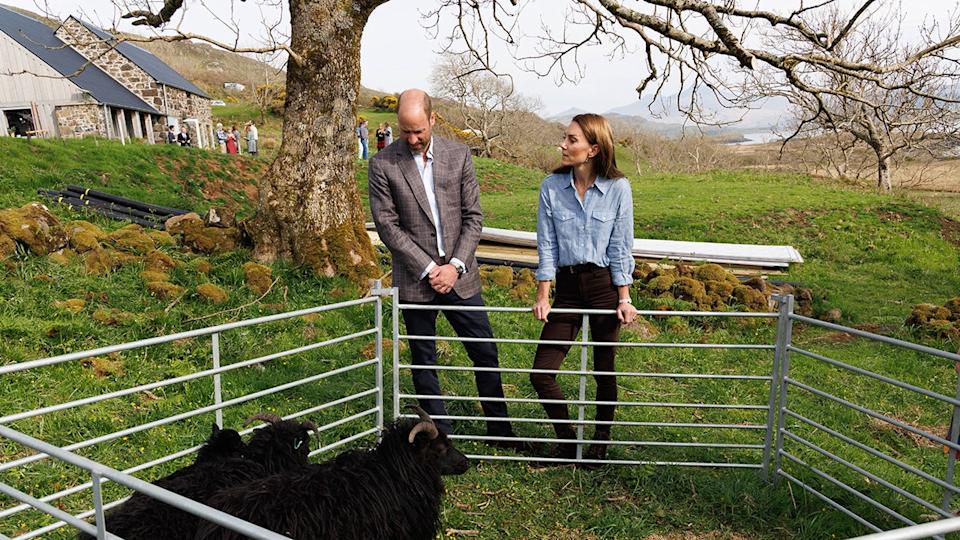 Kate Middleton and Prince William standing in front of a pen with sheep.
