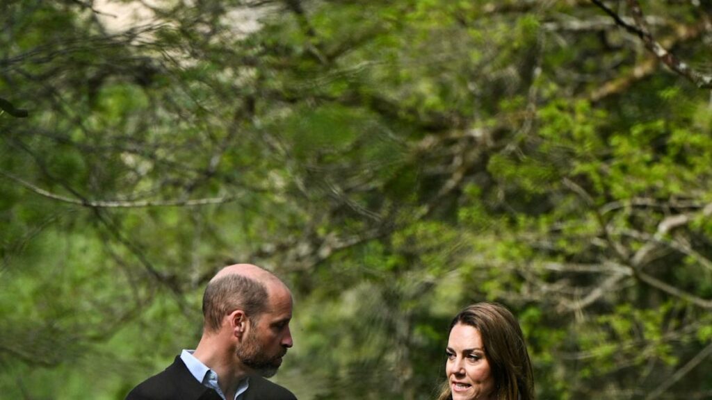 Why Prince William Has Been Taking Secret Monthly Trips Yahoo news home