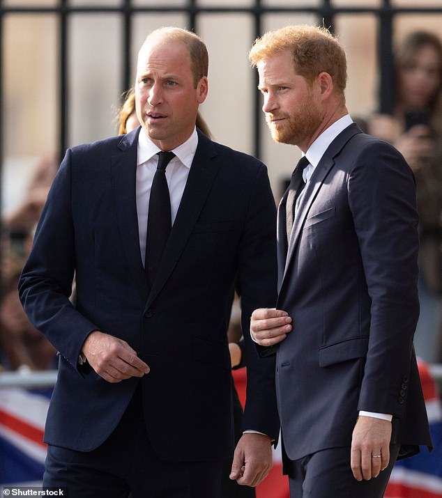 It would see  Harry pictured with the Royal Family for the first time since the late Queen¿s funeral. Pictured: William and Harry at Windsor Castle in September 2022