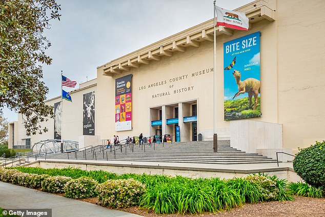 The Natural History Museums of Los Angeles County announced today that they'd be postponing their first ever Night of Wonder Gala this Saturday due to the ongoing LA riots