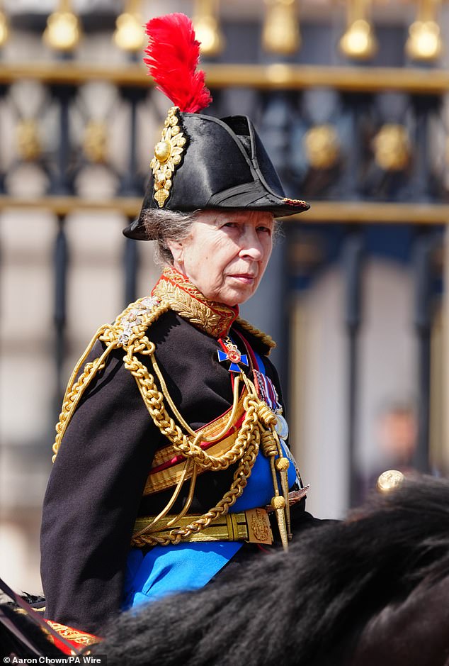 One year since she was hospitalised after being kicked by a horse, Royal fans have praised Princess Anne 's unwavering dedication to royal duties