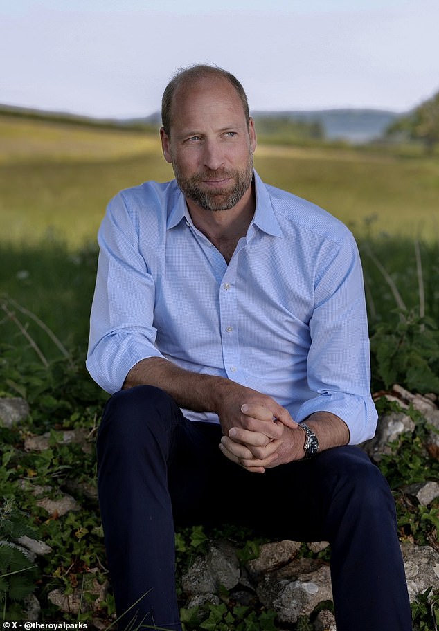 Prince William's new 'polished' and 'statesmanlike' birthday portraits emphasise 'duty and leadership' - and separate him from 'emotional and informal' Meghan and Harry says expert