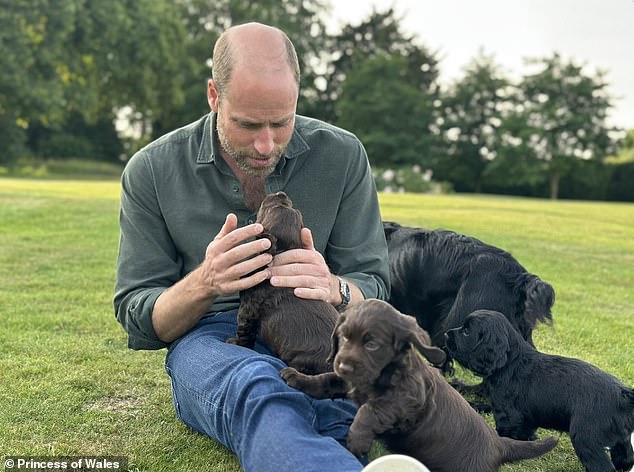 Prince William was pictured with his dog Orla and three of her puppies in a photo taken by his wife Kate and released by Kensington Palace on Saturday for his 43rd birthday