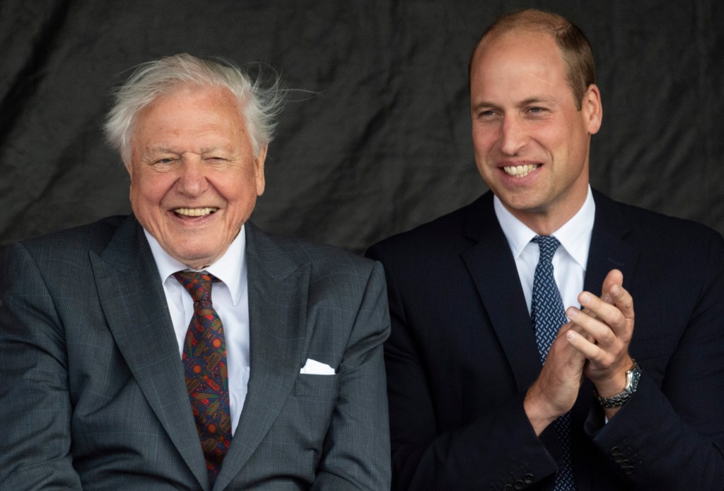 Sir David Attenborough Tells Prince William He Once “Nearly Drowned” Sir David Attenborough Tells Prince William He Once "Nearly Drowned"