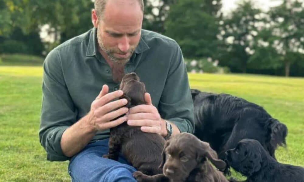 Kate Middleton captures William’s unique 43rd birthday moment Prince William 1