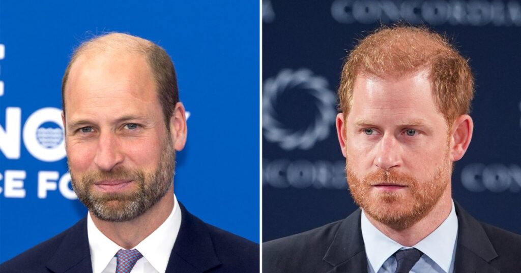 Prince Harry’s Friend Jaco van Gass Honored by Prince William Prince Harry’s Friend Jaco van Gass Honored by Prince William