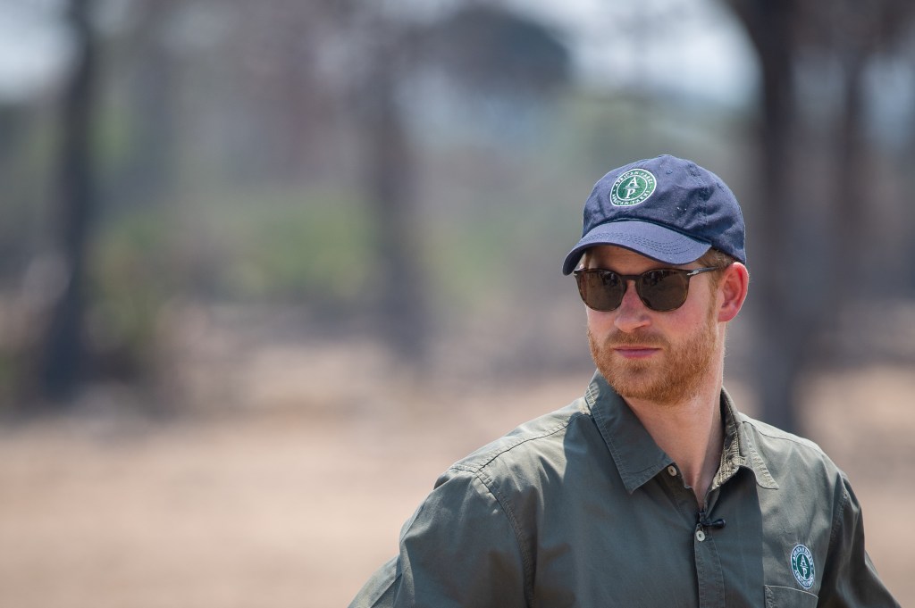 Prince Harry’s African charity admits human rights abuses of local people Prince Harry's African charity admits human rights abuses of local people