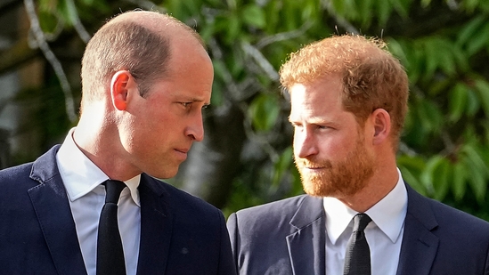 Princes William and Prince Harry Set For Major Showdown Over Princess Diana Items Auction