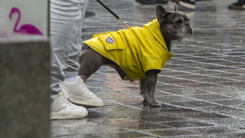 Heavy rain and thunder could hit parts of UK this week – Met Office