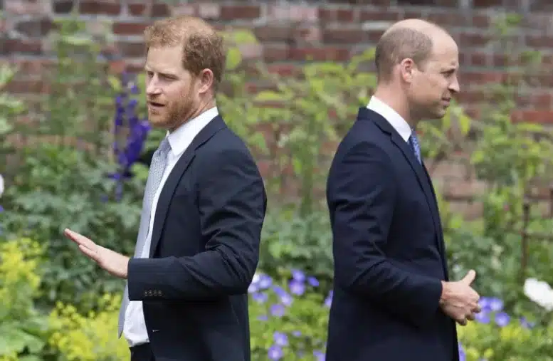 Prince William attacks Prince Harry