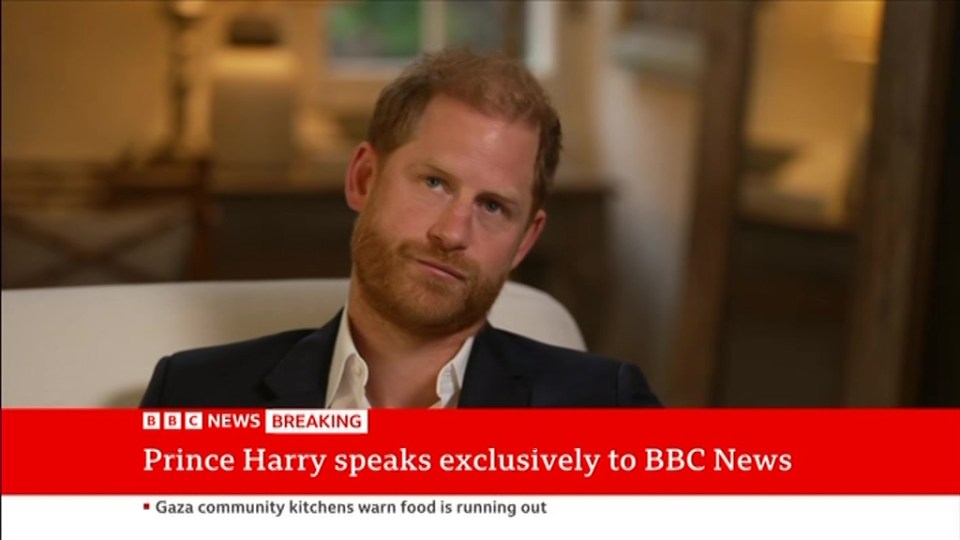 Prince Harry in an interview with BBC News.