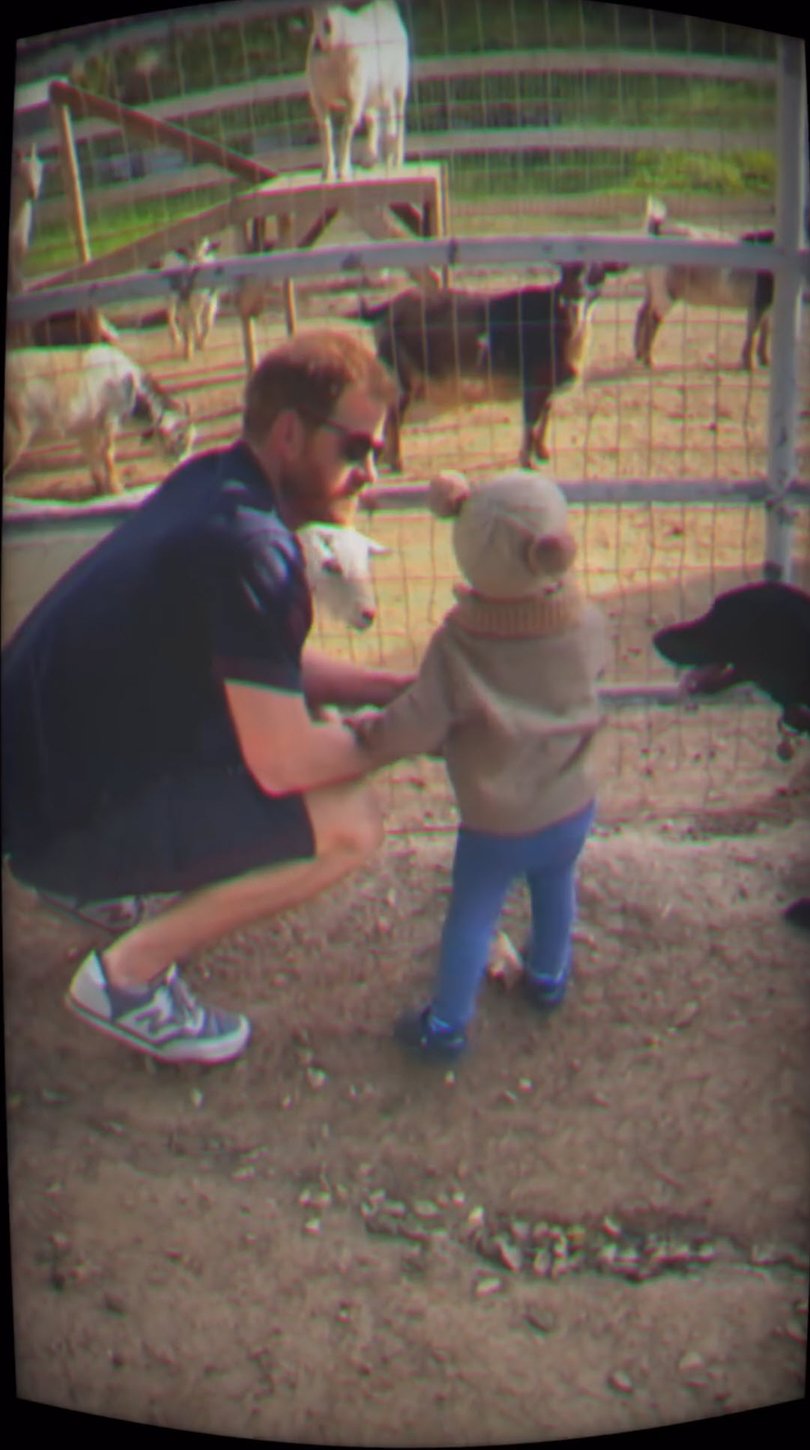 Meghan Markle has shared images of Prince Harry with Archie and Lilibet celebrating Father's Day