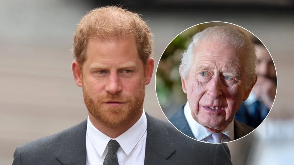 Prince Harry is fighting to keep Diana’s memory alive